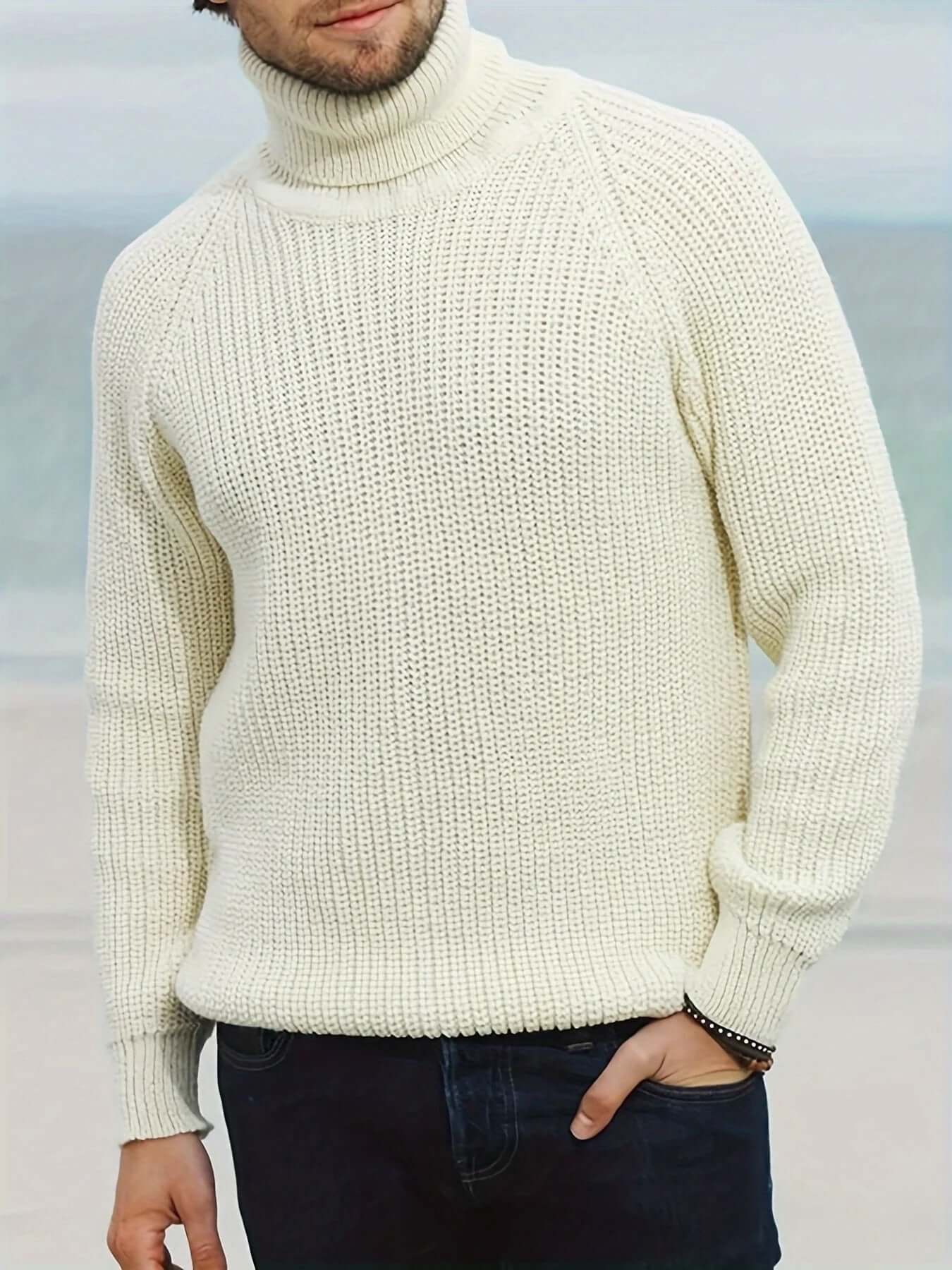 Men’s Ribbed Knit Turtleneck Sweater